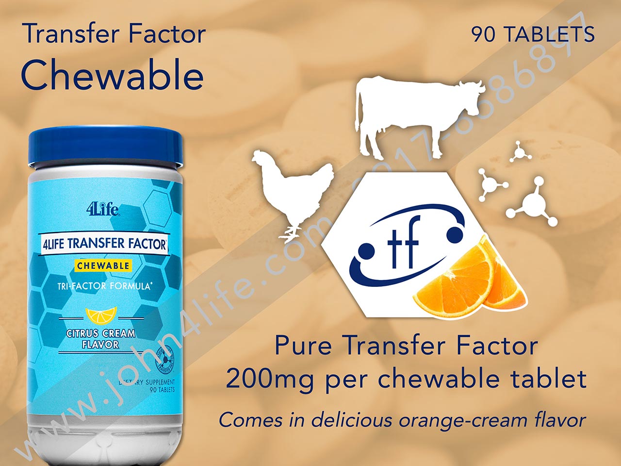 transfer factor chewable